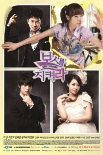 دانلود سریال از رئیس محافظت کنید  2011 Protect the Boss