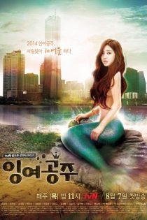 دانلود سریال شاهزاده خانم مازاد  2014 Surplus Princess