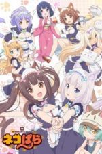 دانلود انیمه Nekopara