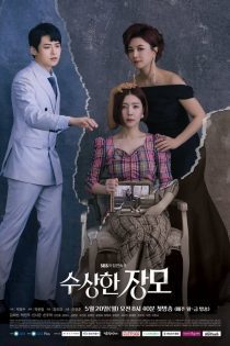 دانلود سریال مادر خوانده مشکوک 2019 Shady Mom in Law